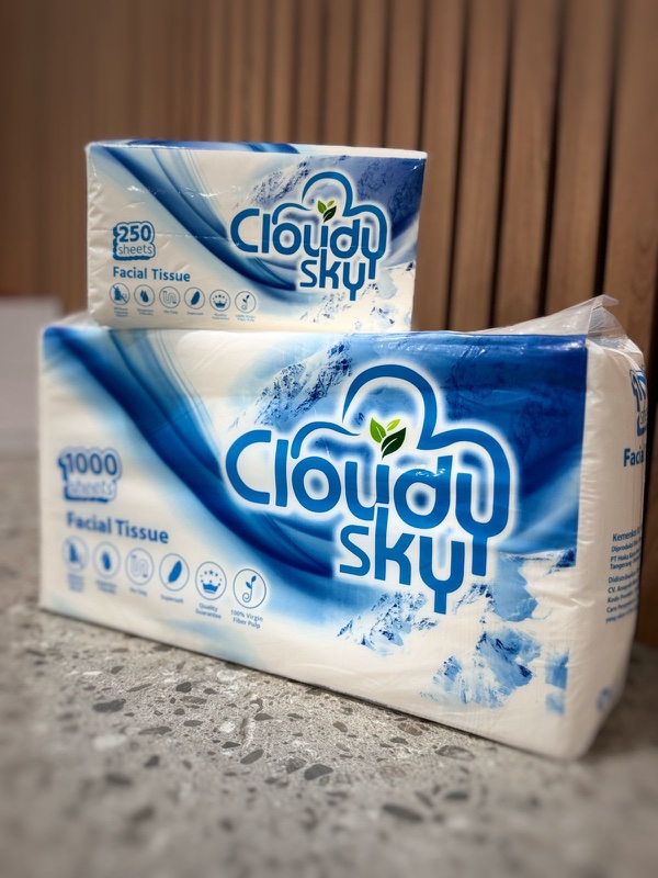 Cloudy Sky